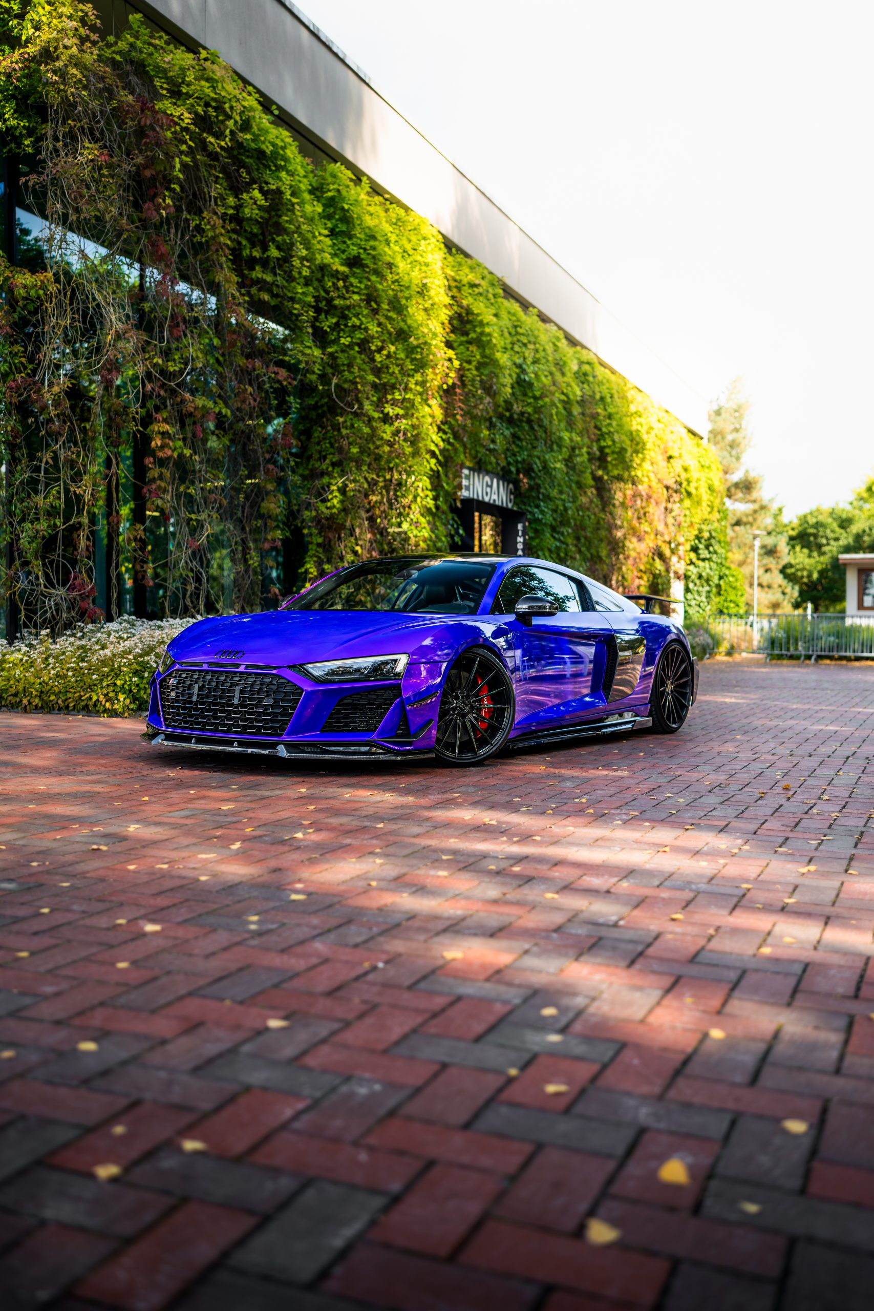 Lambo Purple High Gloss – Bild 16