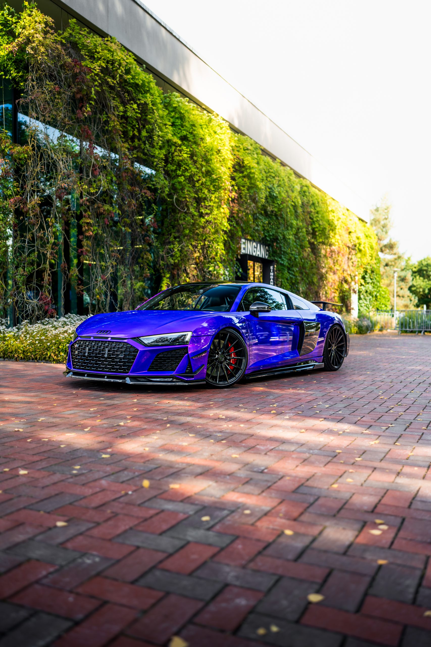Lambo Purple High Gloss – Bild 15