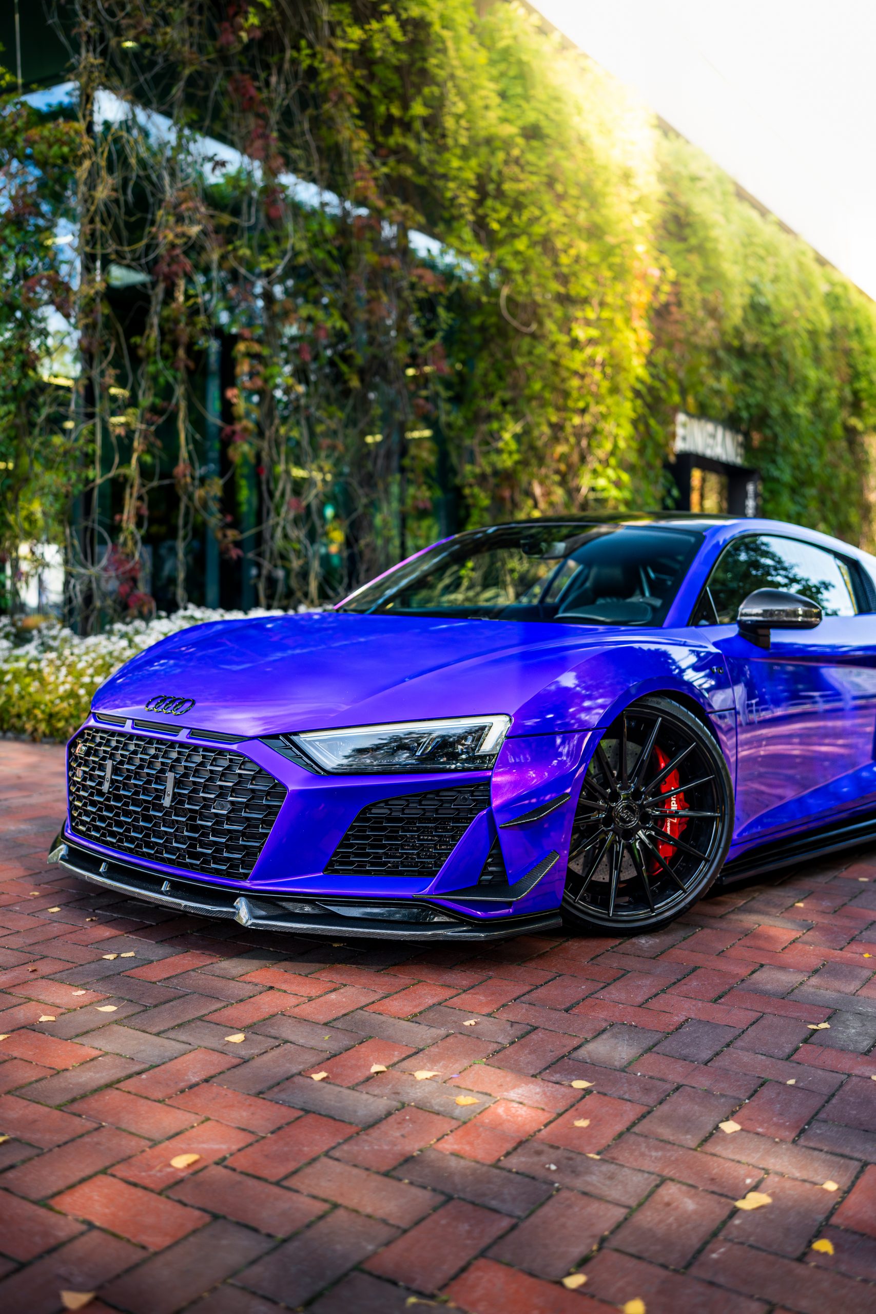 Lambo Purple High Gloss – Bild 14