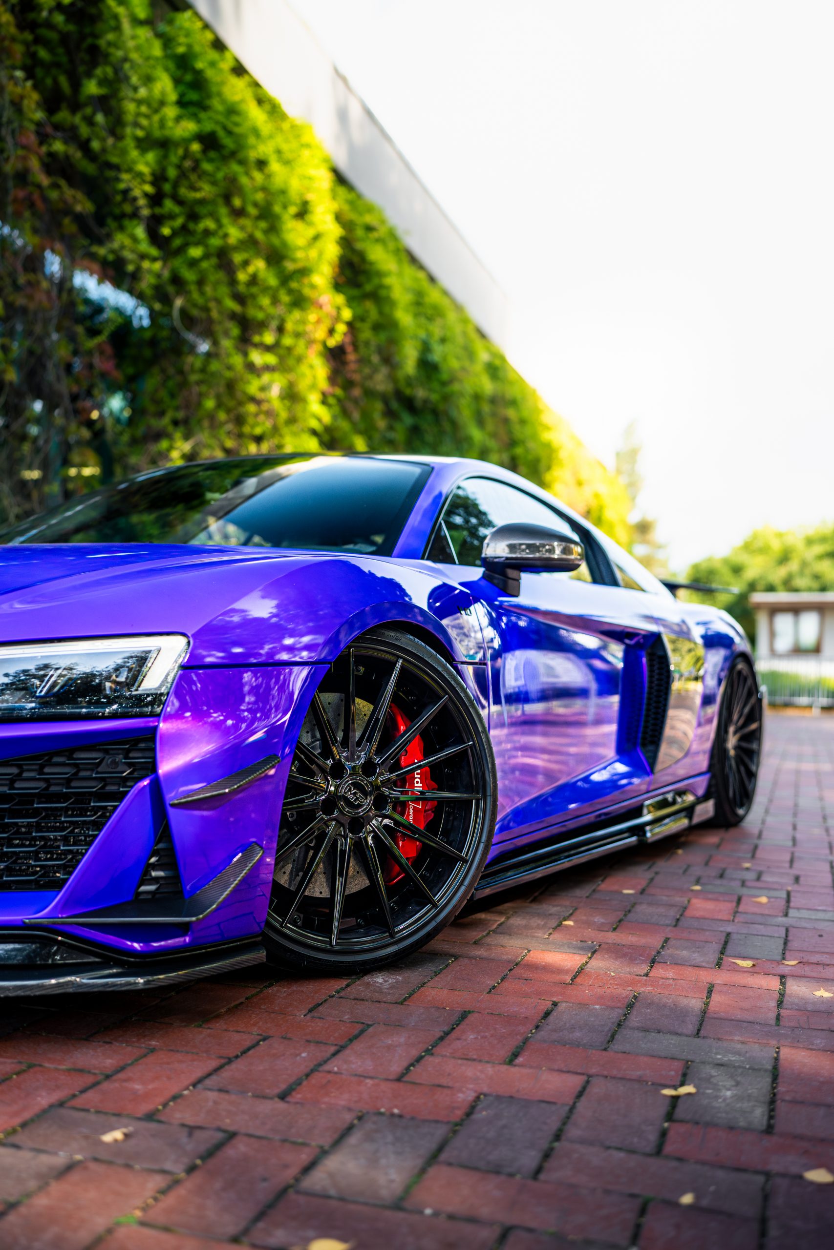 Lambo Purple High Gloss – Bild 13