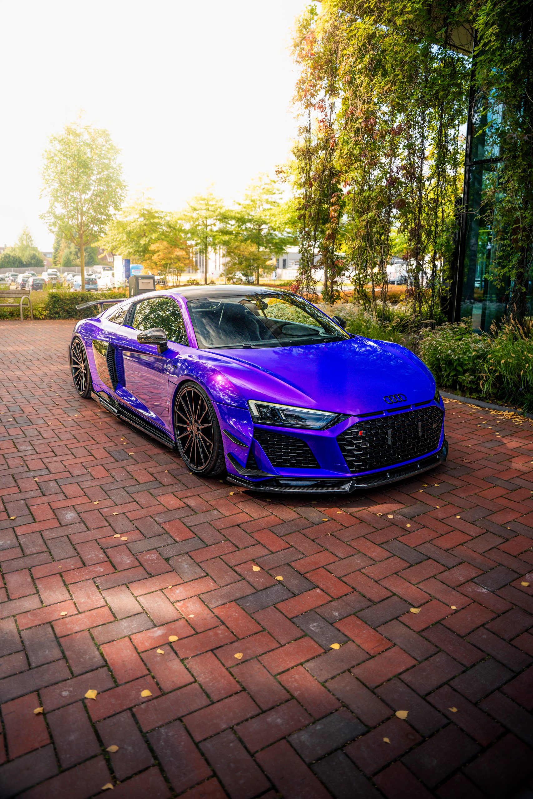 Lambo Purple High Gloss – Bild 17