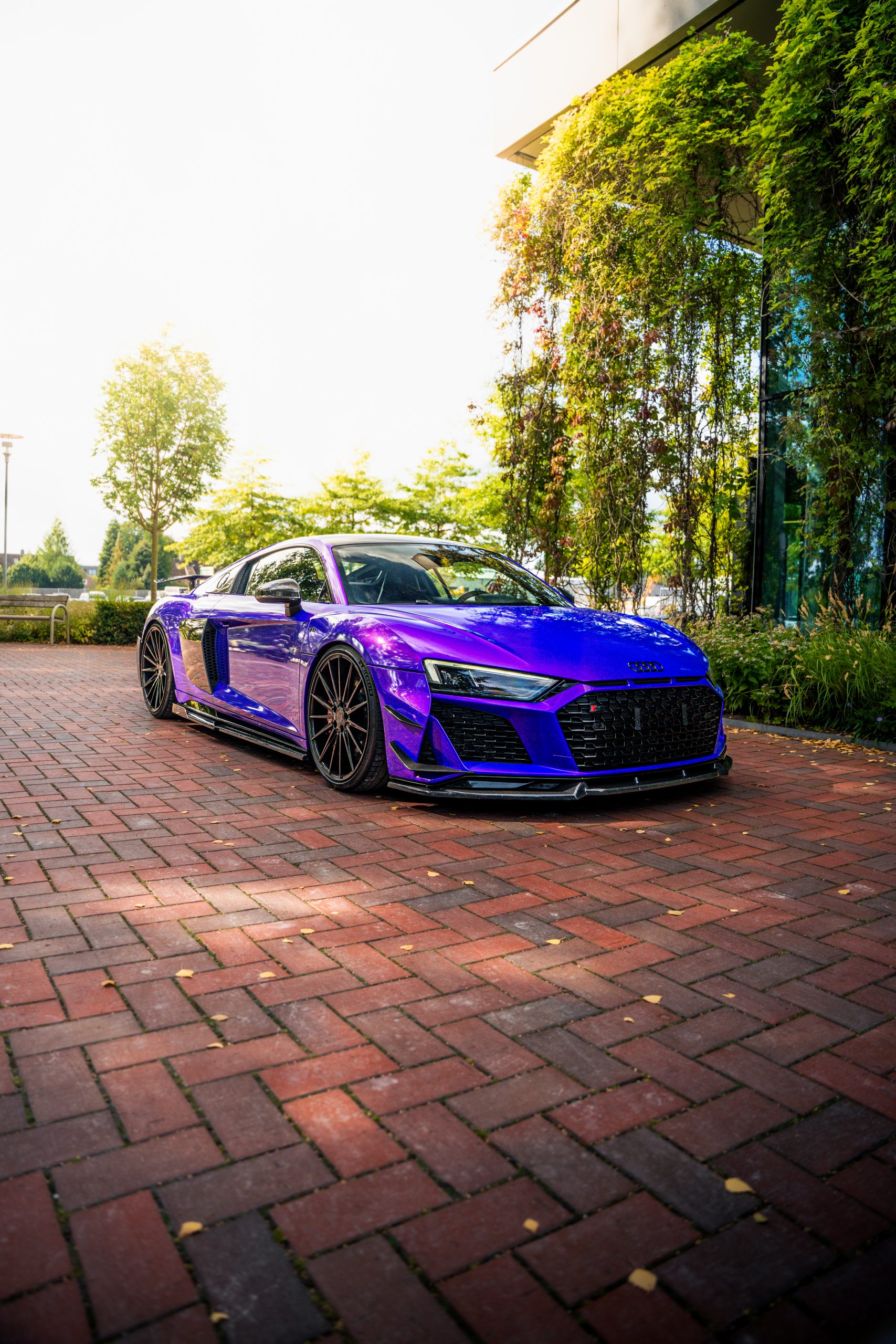 Lambo Purple High Gloss – Bild 11