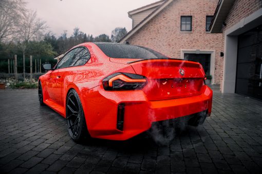 Rari Red – Bild 5