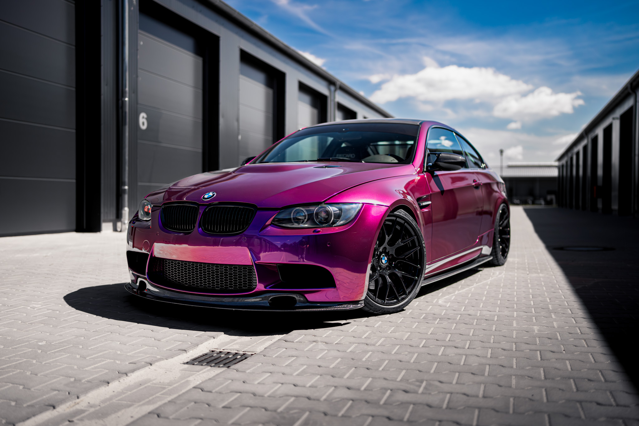 Hong Kong Purple
