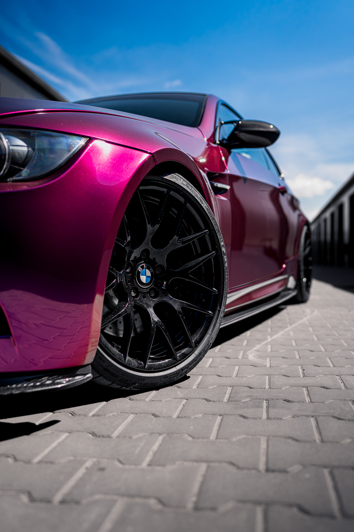 Hong Kong Purple – Bild 5