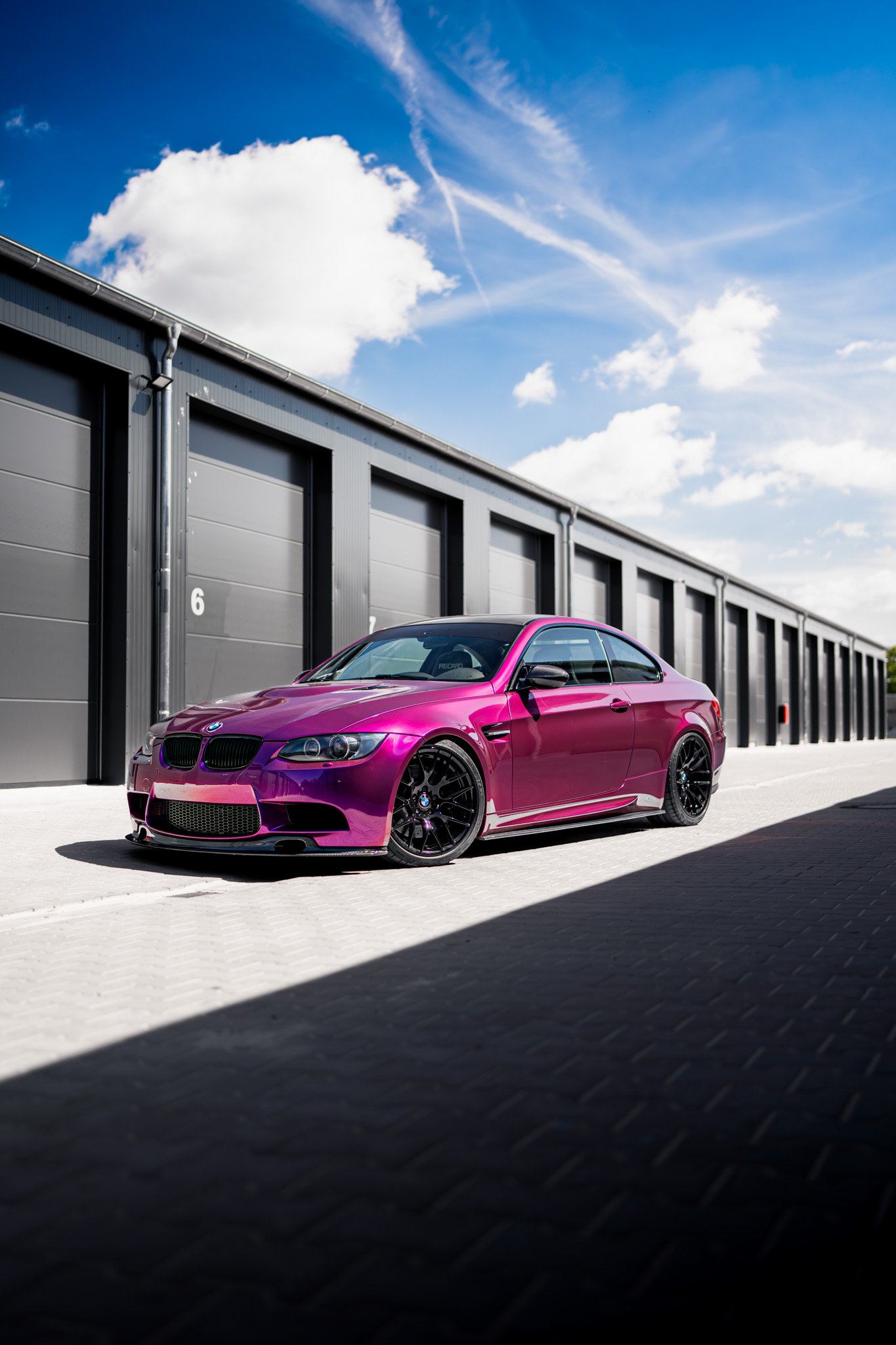 Hong Kong Purple – Bild 6